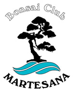 Bonsai Club Martesana